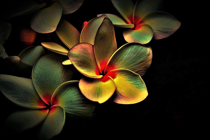 Loving-Kindness